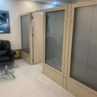 منشی مدیر عامل خانم