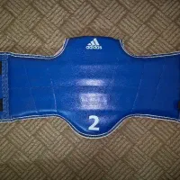 هوگو تکواندو