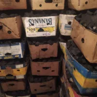 زغال انگور و سنتی وصنعتی کبابی بابرش و بدون برش|عمدهفروشی|تهران, مسعودیه|دیوار