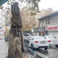 اجاره مغازه ۱۶۰ متر نیاوران