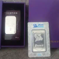 شمش نقره مناسب سرمایه گذاری