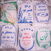 برنج فجر ۱۴۰ چمپا۱۴۰