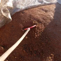 تفاله سیب بسته بندی