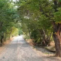 زمین-سند-قطعی