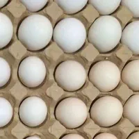 تخم مرغ گلین ریشو چهل پنگوهنی