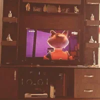 میز تلوزیون|میز تلویزیون|اهواز, بیست متری شهرداری|دیوار