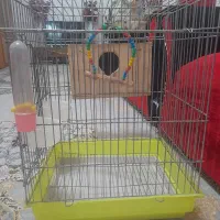 قفس پرنده با لانه