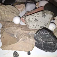 اهدای کلکسیون سنگ رایگان|بدلیجات|تهران, افسریه شمالی|دیوار