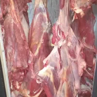 گوشت گوساله ران  ودست  هر کیلو  ۷۴۹ هزار|خوردنی و آشامیدنی|تهران, هروی|دیوار