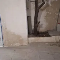 اجاره آپارتمان ۷۰ متری ۱ خوابه همکف در کوی دروی|اجارهٔ آپارتمان|مشهد, کوی دروی|دیوار