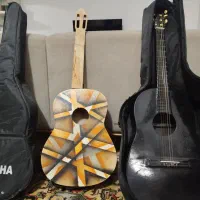 دو عدد گیتار