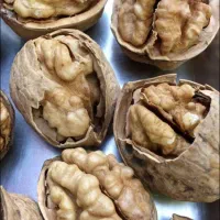 گردوی کاغذی