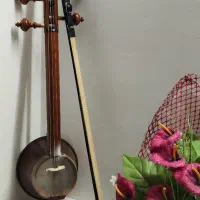 کمانچه گردو شهباز