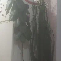 فروش گل زیبای طبیعی آدرس گردمیران هست