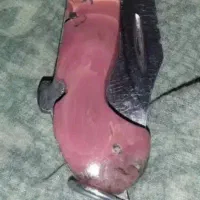 چاقو زنجان دسته برنجی