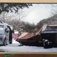 تلویزیون suniya۴۳اینچ