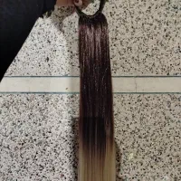 دم اسبی های کش دار|آرایشی، بهداشتی، درمانی|مراغه, |دیوار