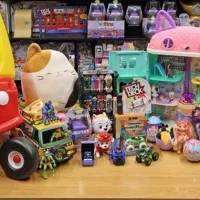 استخدام خانم برای