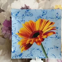 پیش دستی..(میوه خوری)
