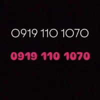 09191101070|سیم‌کارت|تهران, بهارستان|دیوار