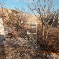 هرسکاریدرختانوسمپاشی|خدمات باغبانی و درختکاری|اردبیل, |دیوار