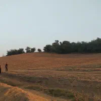 یک قطعه زمین کشاورزی ۳۵۰۰متری فروش فوری|فروش زمین و ملک کلنگی|کیاسر, |دیوار