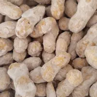 بادوم زمینی تازه