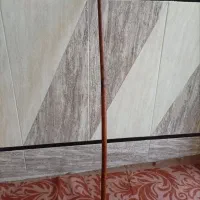 چوب ارژن