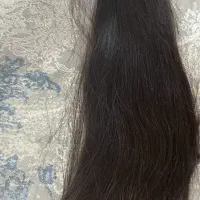 خریدار مو عمده و جزئی خام بور طلایی