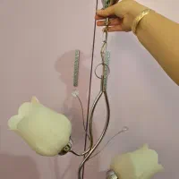 لوستر شیک
