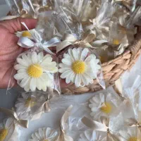 گیفت صابونی معطر گل بابونه مناسب جشن عقد ،مدرسه