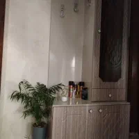 جاکفشی ایستاده