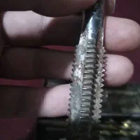 بوق|کلکسیون اشیاء عتیقه|مشهد, وحید|دیوار