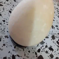 سنگ عتیقه|کلکسیون اشیاء عتیقه|سنندج, |دیوار