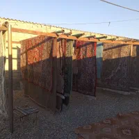 قالیشویی یاقوت