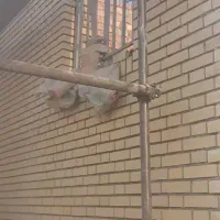 بنا اجرسفال واجرگری نیازمند کار|خدمات پیشه و مهارت|زاهدان, |دیوار