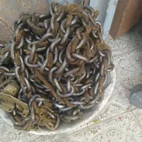 زنجیر جبران
