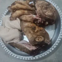 کله پاچه کوه تازه|خوردنی و آشامیدنی|مسجد سلیمان, |دیوار