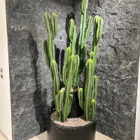 گل و درختچه مصنوعی ویولا