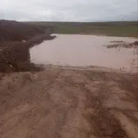 دیم-زار