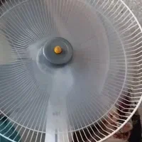 فروش فوری دوتا پنکه|پنکه و تصفیه‌کنندهٔ هوا|گنبد کاووس, |دیوار