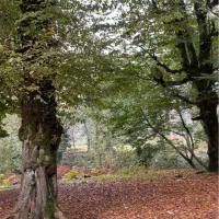 فروش زمین تماما مسکونی داخل بافت