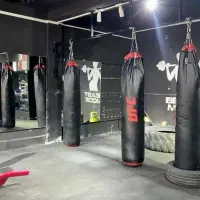 دنبال باشگاه بوکس یا MMA