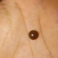 عقیق خرمایی|جواهرات|قزوین, |دیوار