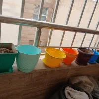 گلدان برای کاشت گل