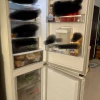 بخچال فریزر الجی کره ای در حد نو|یخچال و فریزر|بابل, |دیوار