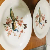 دو عد دیس قدیمی قدمت ۱۰۰سال