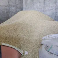 فروش کاه گندم دیم|لوازم جانبی حیوانات|کنگاور, |دیوار