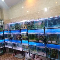 آکواریوم جزیره