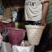 گلدان سفالی|گل و گیاه طبیعی|پاکدشت, پاکدشت (مامازند)|دیوار